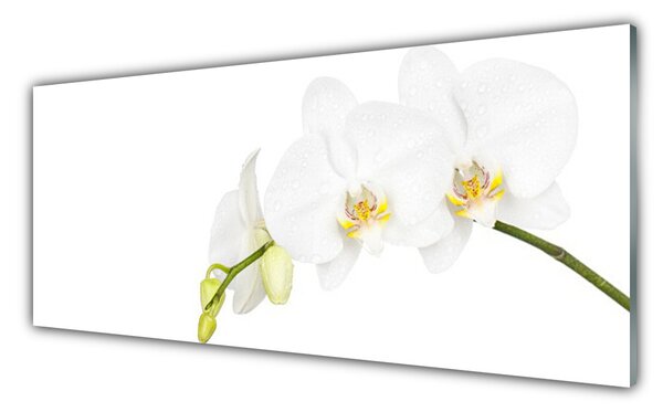 Tablou pe sticla Flori Floral alb