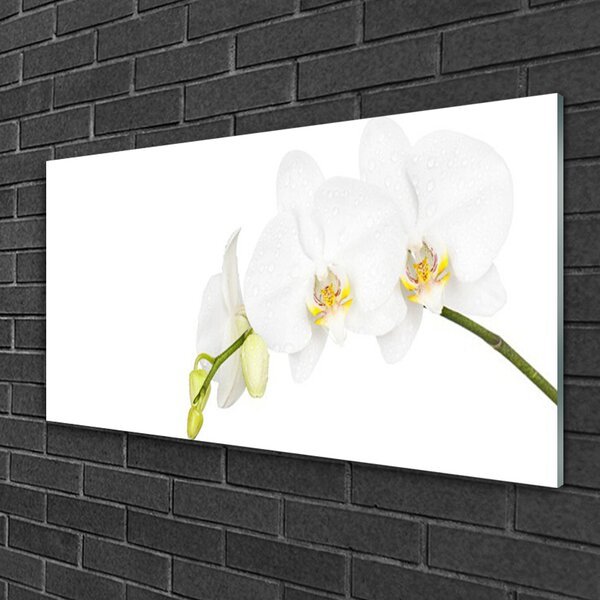 Tablou pe sticla Flori Floral alb
