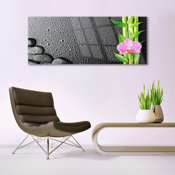 Tablou pe sticla Bamboo Peduncul flori Stones verde florale roz negru