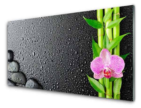 Panou sticla bucatarie Bamboo Peduncul flori Stones verde florale roz negru
