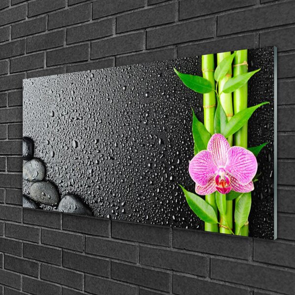 Tablou pe sticla Bamboo Peduncul flori Stones verde florale roz negru