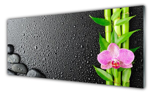 Tablou pe sticla Bamboo Peduncul flori Stones verde florale roz negru