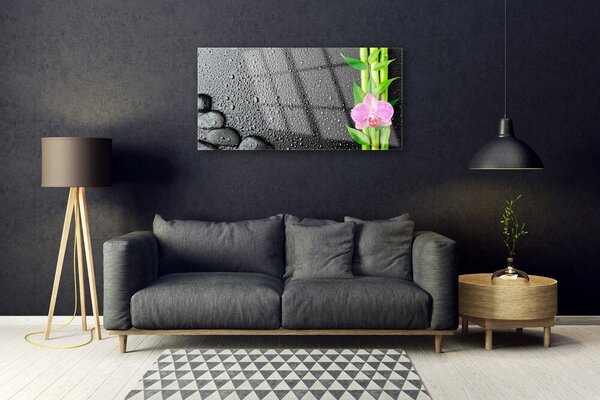 Tablou pe sticla Bamboo Peduncul flori Stones verde florale roz negru
