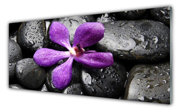 Tablou pe sticla Pietrele de flori Arta roz negru
