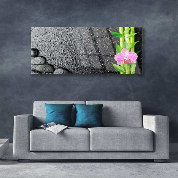 Tablou pe sticla Bamboo Peduncul flori Stones verde florale roz negru