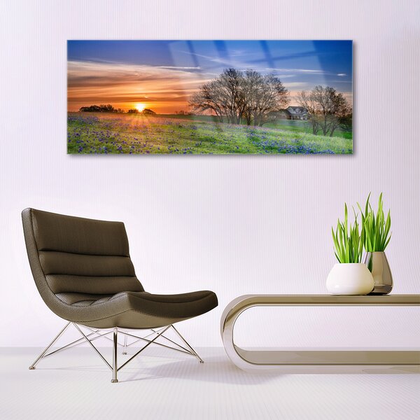 Tablou pe sticla Meadow Sun Peisaj Galben Verde