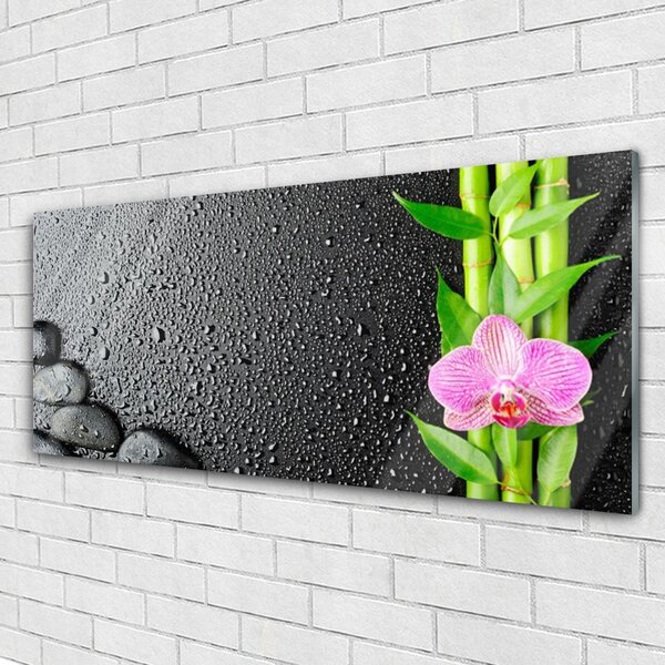 Tablou pe sticla Bamboo Peduncul flori Stones verde florale roz negru