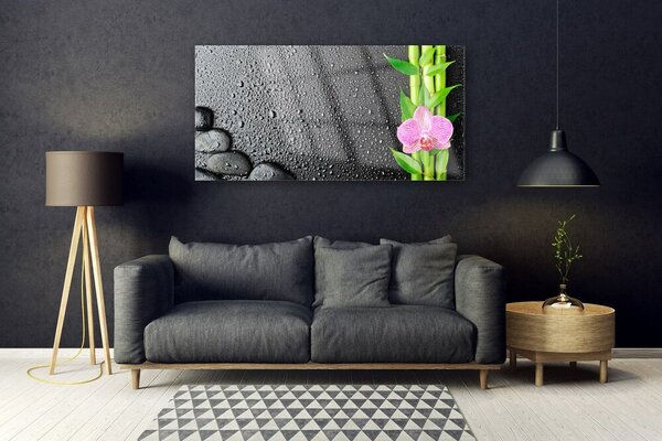 Tablou pe sticla Bamboo Peduncul flori Stones verde florale roz negru