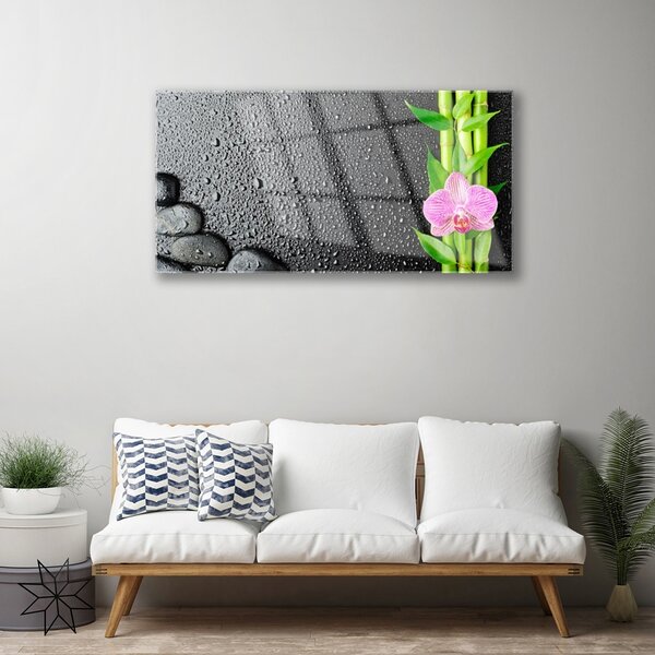 Tablou pe sticla Bamboo Peduncul flori Stones verde florale roz negru