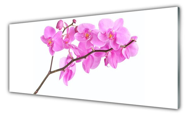Tablou pe sticla Flori roz Floral