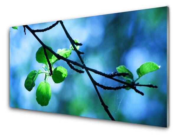 Tablou pe sticla Branch Frunze Floral Negru Verde
