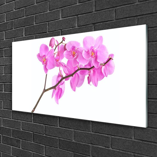 Tablou pe sticla Flori roz Floral