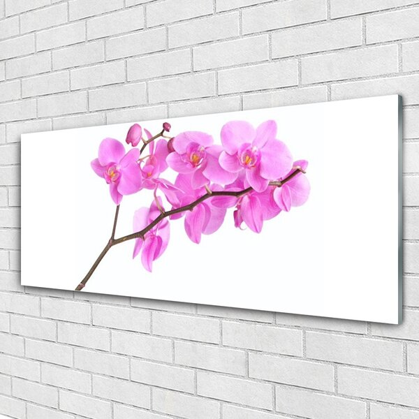 Tablou pe sticla Flori roz Floral