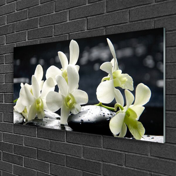 Tablou pe sticla Pietre florale flori alb negru