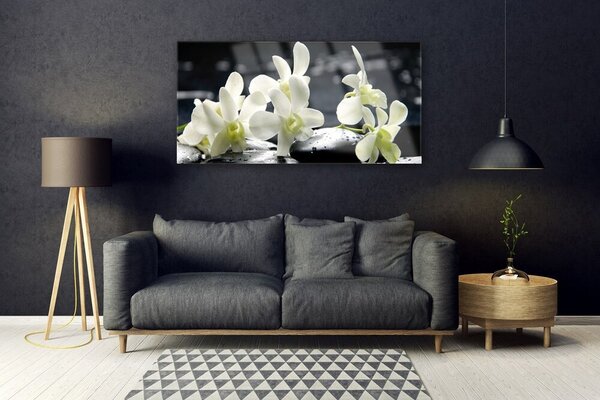 Tablou pe sticla Pietre florale flori alb negru