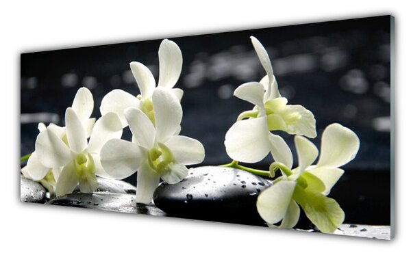 Panou sticla bucatarie Pietre florale flori alb negru