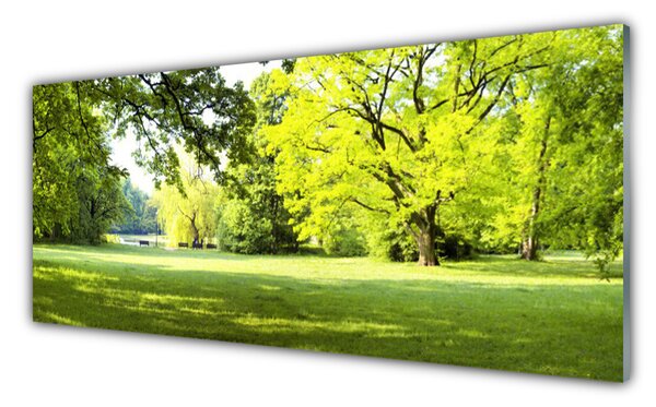 Tablou pe sticla Iarbă Copaci Natura Verde Maro