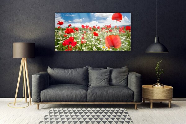 Tablou pe sticla Flori Meadow Natura Roșu Alb Verde