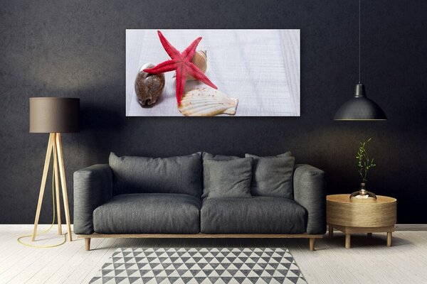 Tablou pe sticla Starfish Shell Art Roșu Bej Maro Gri