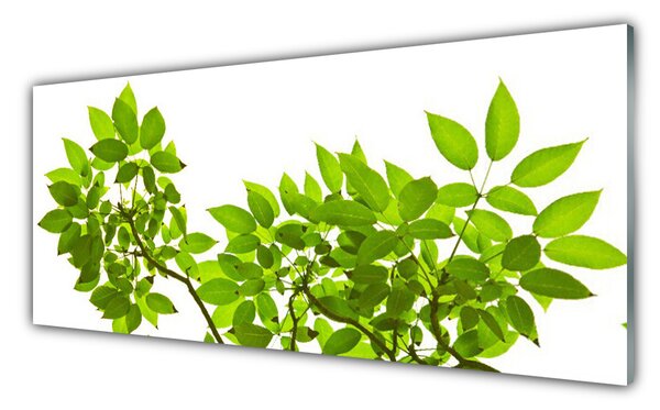 Panou sticla bucatarie Sucursale Frunze Floral verde maro