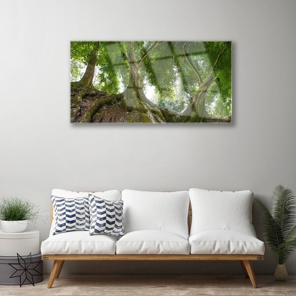 Tablou pe sticla Copaci Natura Brun Verde