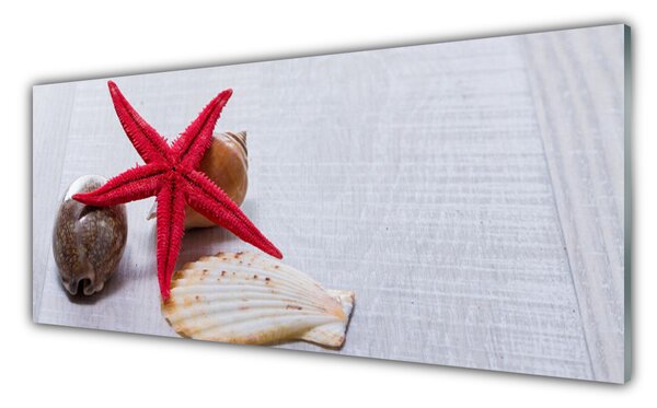 Panou sticla bucatarie Starfish Shell Art Roșu Bej Maro Gri