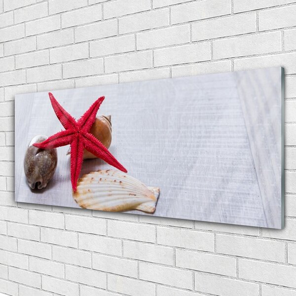 Tablou pe sticla Starfish Shell Art Roșu Bej Maro Gri