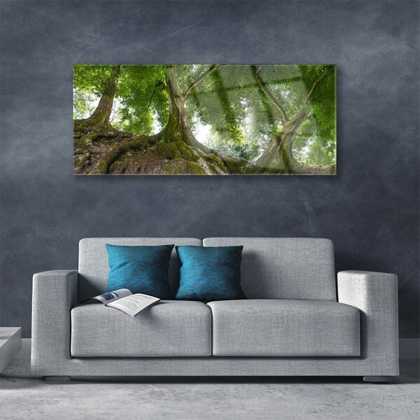 Tablou pe sticla Copaci Natura Brun Verde
