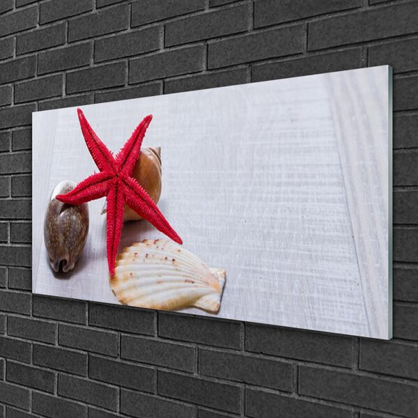 Tablou pe sticla Starfish Shell Art Roșu Bej Maro Gri