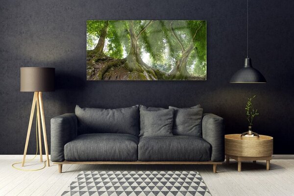 Tablou pe sticla Copaci Natura Brun Verde