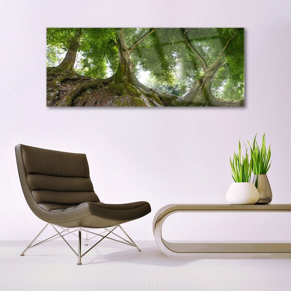 Tablou pe sticla Copaci Natura Brun Verde