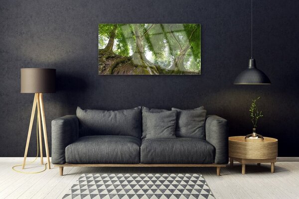 Tablou pe sticla Copaci Natura Brun Verde