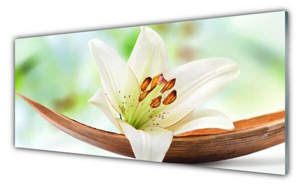Tablou pe sticla Florale flori albe