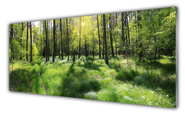 Panou sticla bucatarie Natural Pădurea Verde Maro