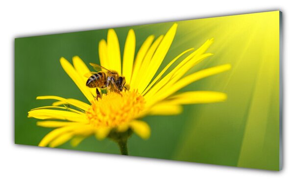 Tablou pe sticla Viespe florale flori negru galben