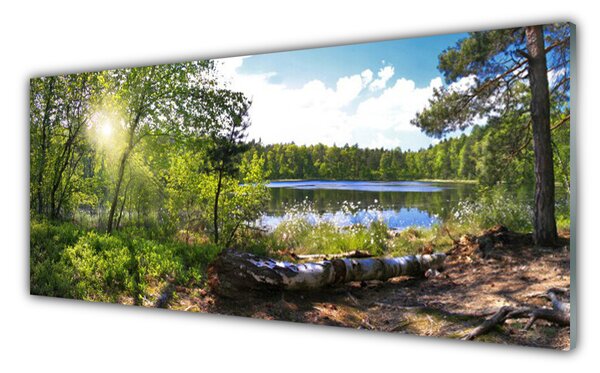 Tablou pe sticla Forest Lake Nature Brown Green