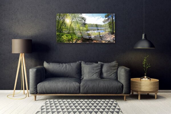 Tablou pe sticla Forest Lake Nature Brown Green