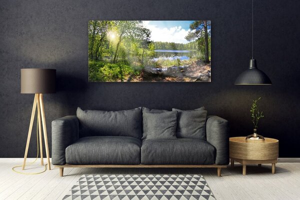 Tablou pe sticla Forest Lake Nature Brown Green