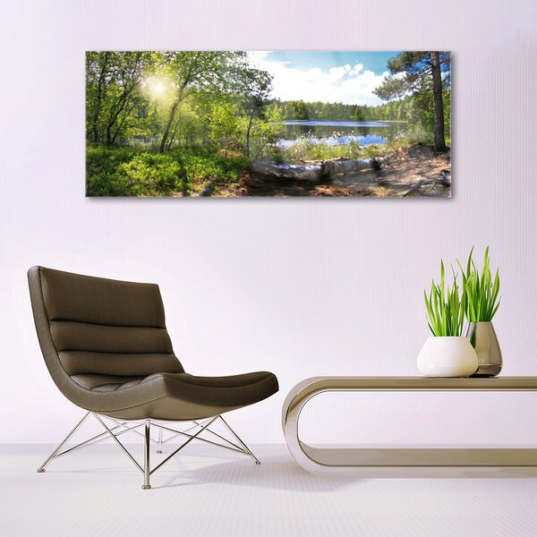Tablou pe sticla Forest Lake Nature Brown Green