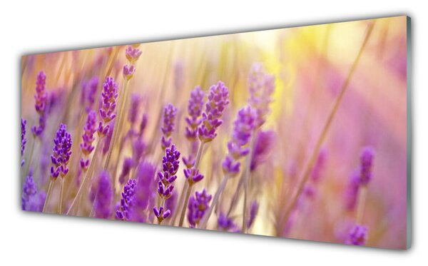Tablou pe sticla Flori roz Floral