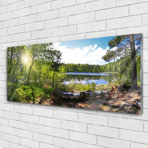 Tablou pe sticla Forest Lake Nature Brown Green