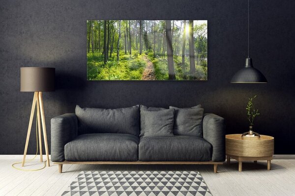 Tablou pe sticla Natural Pădurea Verde Maro