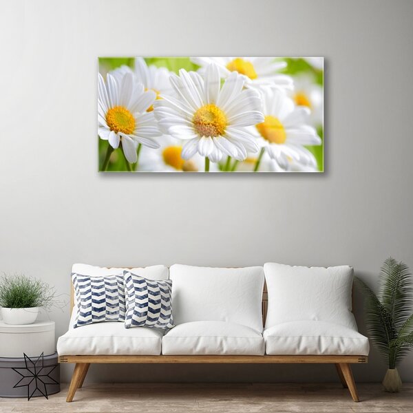 Tablou pe sticla Daisy Floral Galben Alb