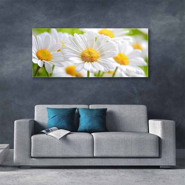Tablou pe sticla Daisy Floral Galben Alb