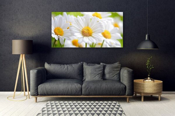 Tablou pe sticla Daisy Floral Galben Alb