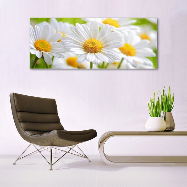 Tablou pe sticla Daisy Floral Galben Alb
