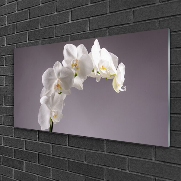 Tablou pe sticla Flori Floral alb