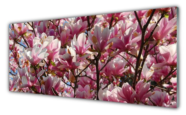Tablou pe sticla Ramuri Flori Floral Brown roz
