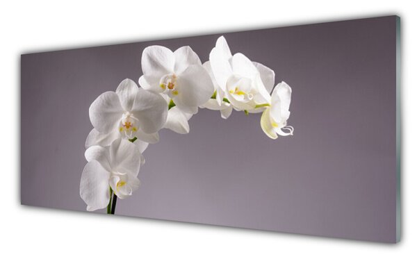 Tablou pe sticla Flori Floral alb