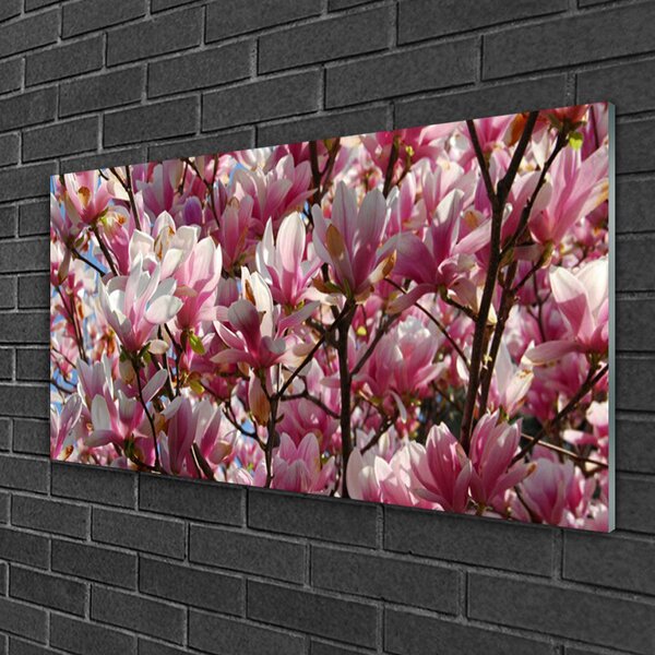 Tablou pe sticla Ramuri Flori Floral Brown roz